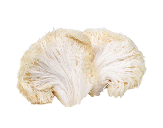 What Makes Functional Mushrooms So Good For You? Why Choose All Natural Functional Mushrooms As Your Supplement?