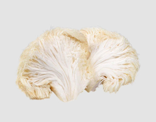 How Mushrooms Power Medicine With Their Rare & Unique-to-them Compounds