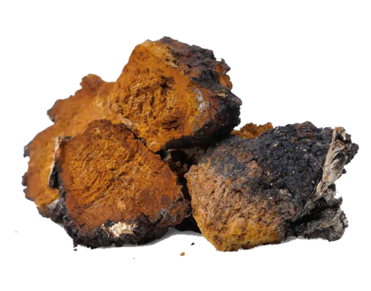 Mushroom Supplements- From Source, No Processing. Pure, Raw Earth-only Mineral Products @102