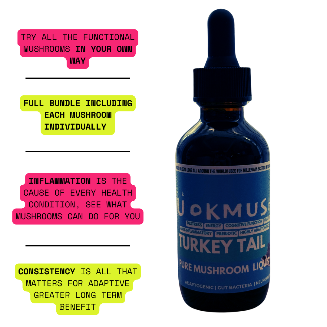 U Ok Mush? Saver Bundle | Choose Any 5 Mushroom Tinctures