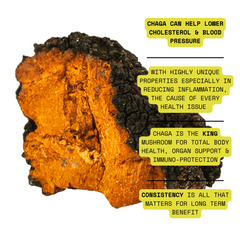 Organic 100% Chaga Mushroom Concentrate Supplement- 60 Servings