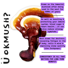 Organic 100% Reishi Mushroom Concentrate Supplement- 60 Servings