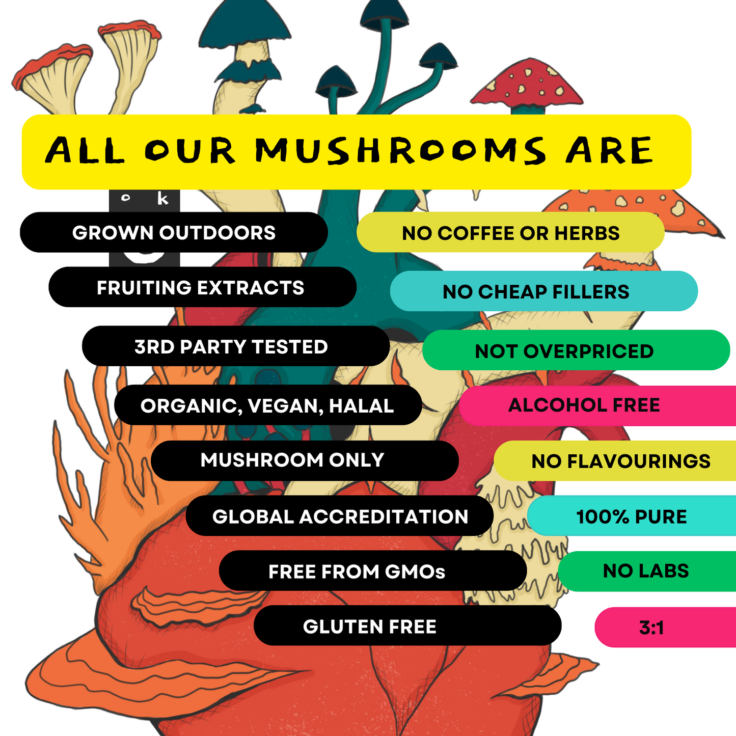U Ok Mush? Chaga Mushroom Supplement 60/servings